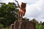 photo film deux fr�res de Jean-Jacques Annaud
