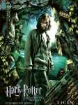 Affiche Harry Potter | Warner Bros. France