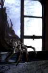 Photo du film Harry Potter |� Warner Bros. France