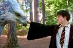Photo du film Harry Potter |� Warner Bros. France