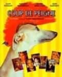 Affiche du film Coup de peigne