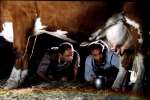 photo film bienvenue en suisse| L�a Fazer� Path�