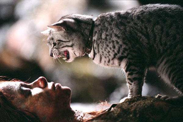 Photo / critique Catwoman de Pitof | Halle Berry