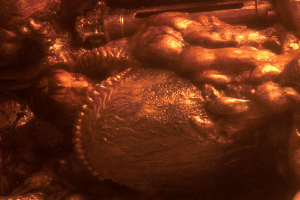 Photo du film Alien de Ridley Scott