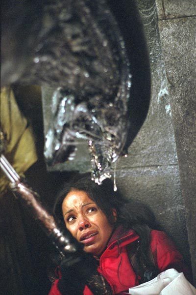 Photo du film Alien Vs predator