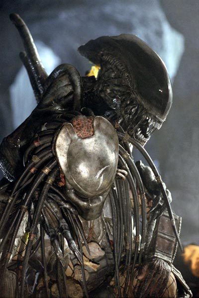 Photo du film Alien Vs predator Photo du film Alien Vs predator