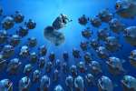 Photo du film l'�ge de glace 2 - ice age 2