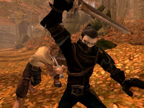 image microsoft x-box - fable - microsoft