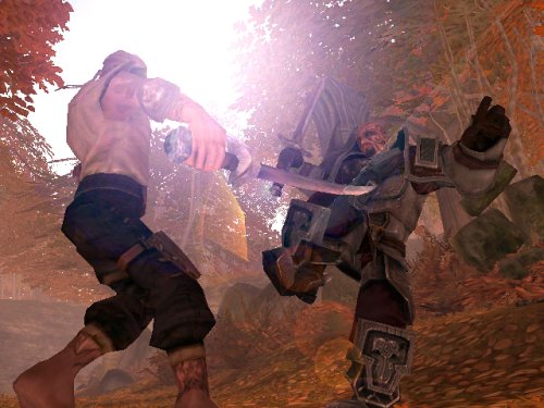 image microsoft x-box - fable - microsoft