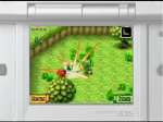 Image DS The legend of Zelda, phantom hourglass -