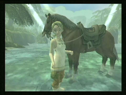 The legend of zelda : twilight princess - nintendo