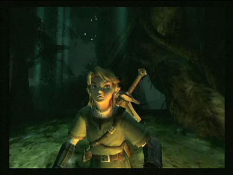 The legend of zelda : twilight princess - nintendo