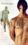 couverture du livre Gayculture de David Lelait