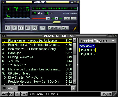 Capture de Winamp skin par d�faut