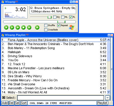 Capture de Winamp Skin XP