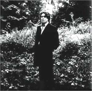 L'imprudence de Alain Bashung